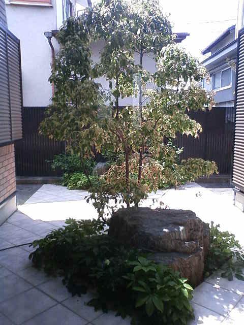 e0037600_1872731.jpg