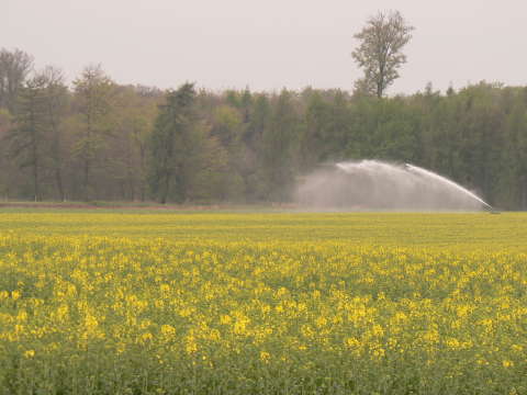 a0056401_3191717.jpg