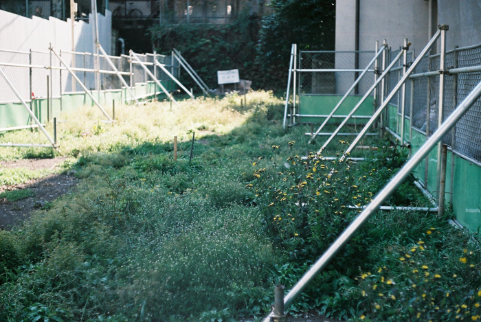 c0120903_35473.jpg