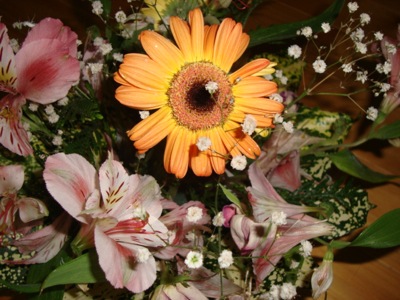 c0052304_6455285.jpg