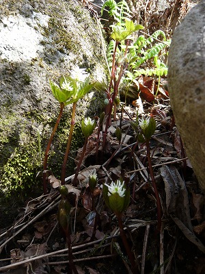 c0178008_2133261.jpg