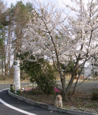 e0078510_22351045.jpg