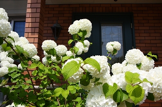 b0163114_14143378.jpg