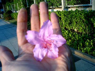 a0101715_0402463.jpg
