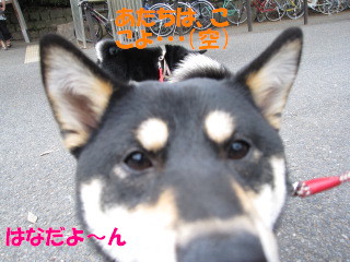 c0185516_18201514.jpg