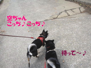 c0185516_18214138.jpg