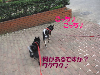 c0185516_18214424.jpg