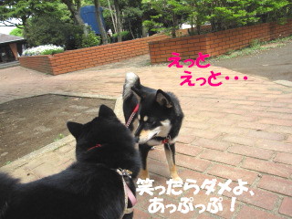 c0185516_1825302.jpg