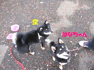 c0185516_18494468.jpg