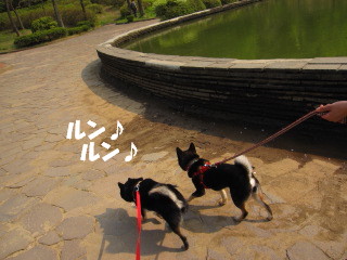 c0185516_18512958.jpg