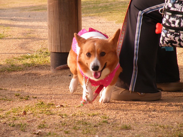 c0127617_163483.jpg