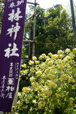 b0019820_18295482.jpg