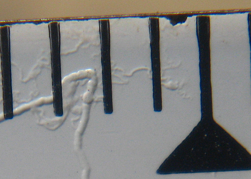 f0041021_10591851.jpg