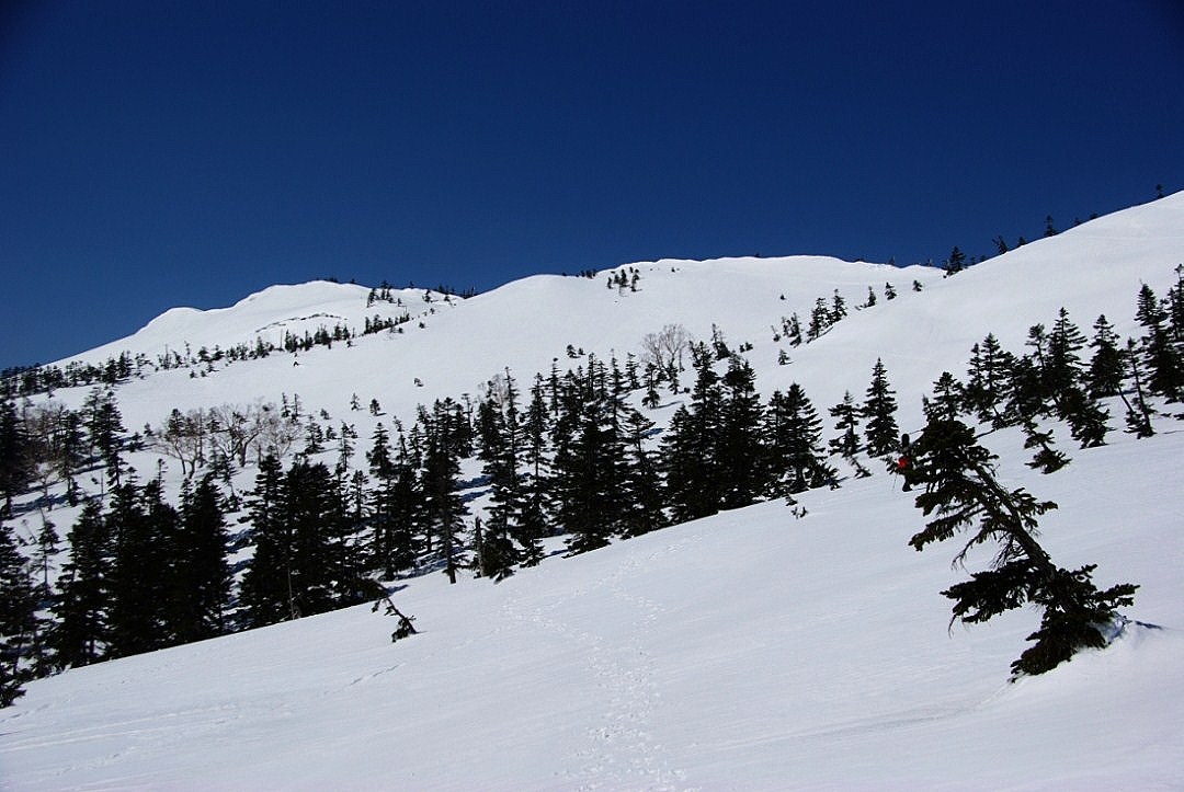 b0062024_1937206.jpg