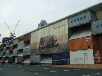 c0188928_16385123.gif