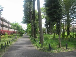 d0064329_14493265.jpg