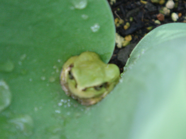 a0048040_21563849.jpg