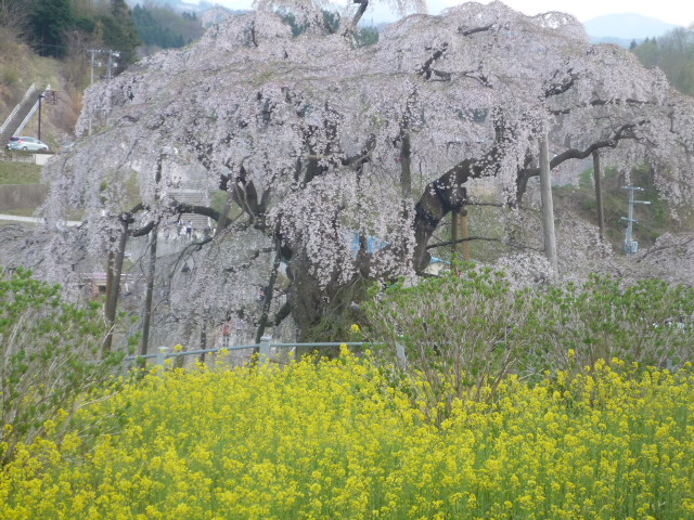 d0106440_11504689.jpg