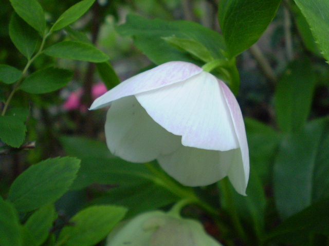 a0109742_21591922.jpg