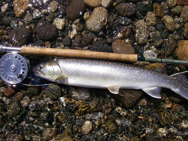 f0084544_1151509.jpg