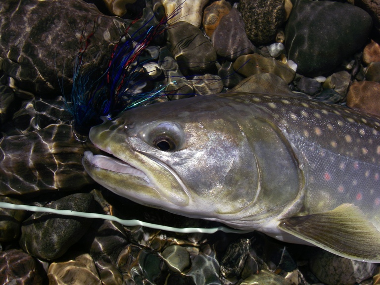 f0084544_11525027.jpg