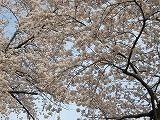 b0157246_2238279.jpg