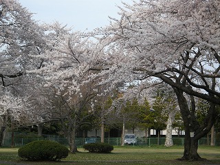b0157246_2238348.jpg
