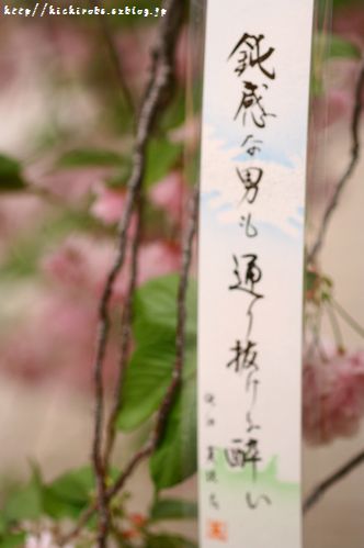 f0039446_1830717.jpg