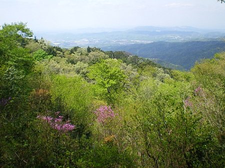 c0042847_21242133.jpg