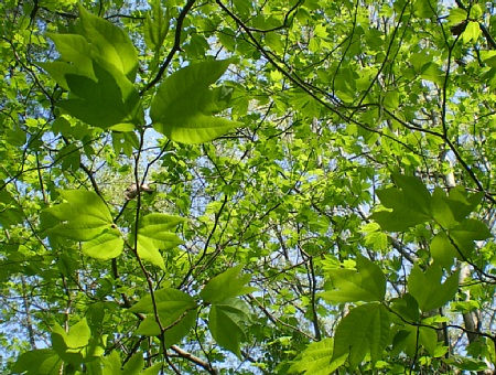 c0042847_21274939.jpg