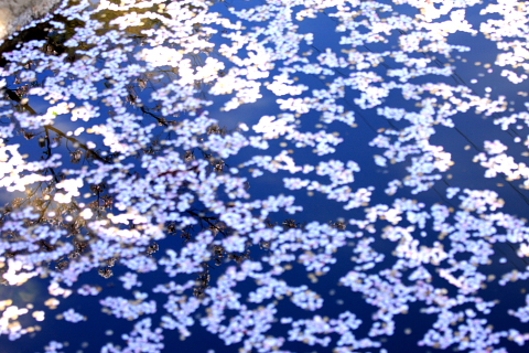 a0024250_2251566.jpg