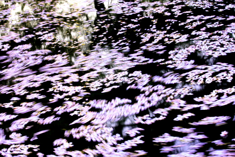 a0024250_22581635.jpg
