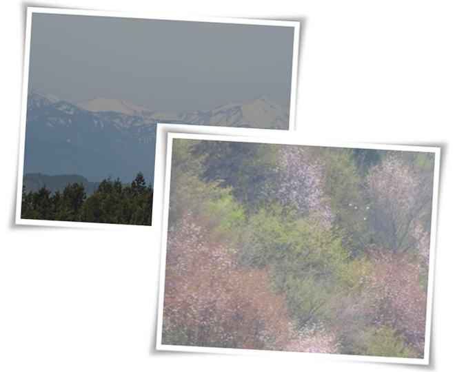 c0145250_10124860.jpg