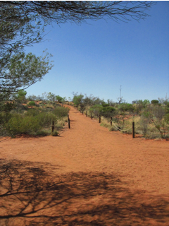 e0138350_15324346.jpg