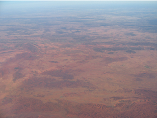 e0138350_1555668.jpg