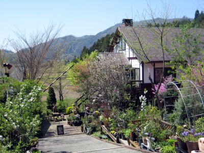c0147952_2251595.jpg