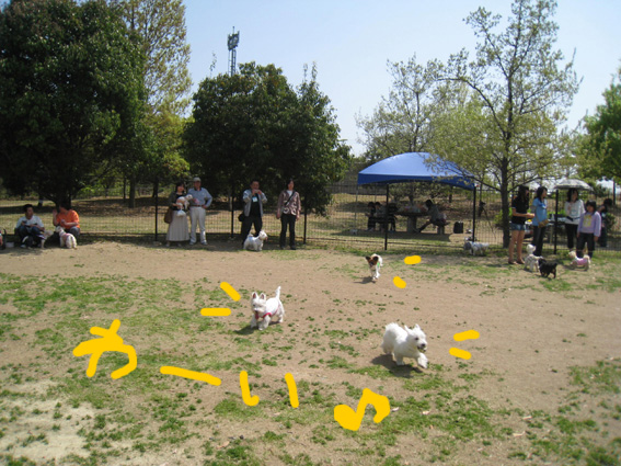 d0134156_15324088.jpg