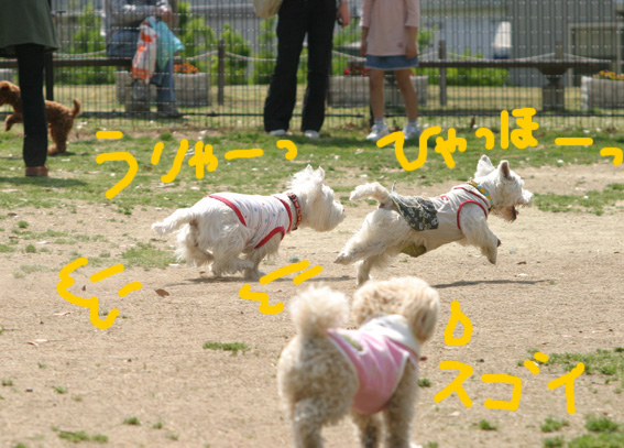 d0134156_1554750.jpg