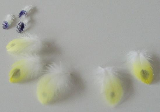f0149057_1454086.jpg