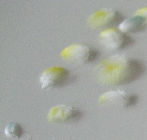 f0149057_1454186.jpg