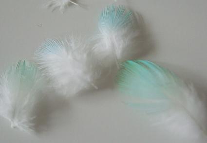 f0149057_14551416.jpg