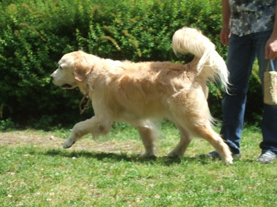 c0097558_2251183.jpg