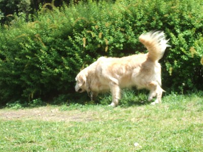 c0097558_2283020.jpg
