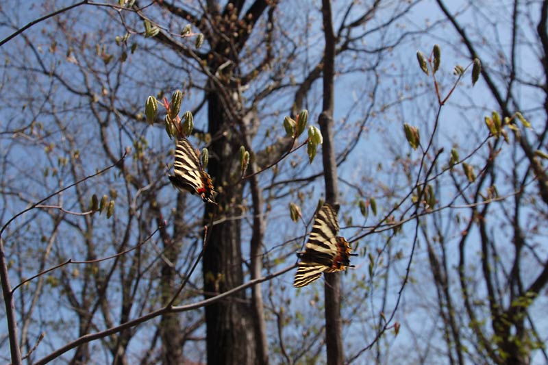 c0043361_0382985.jpg