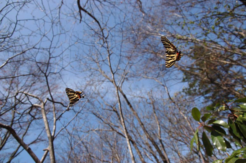 c0043361_0383863.jpg