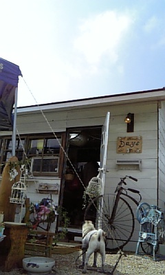 d0144861_132716100.jpg