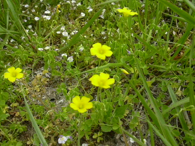 b0139862_0504218.jpg