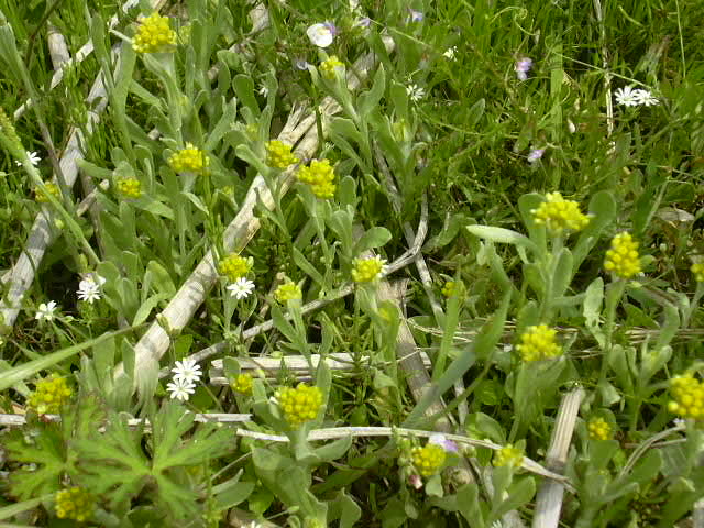 b0139862_0512628.jpg