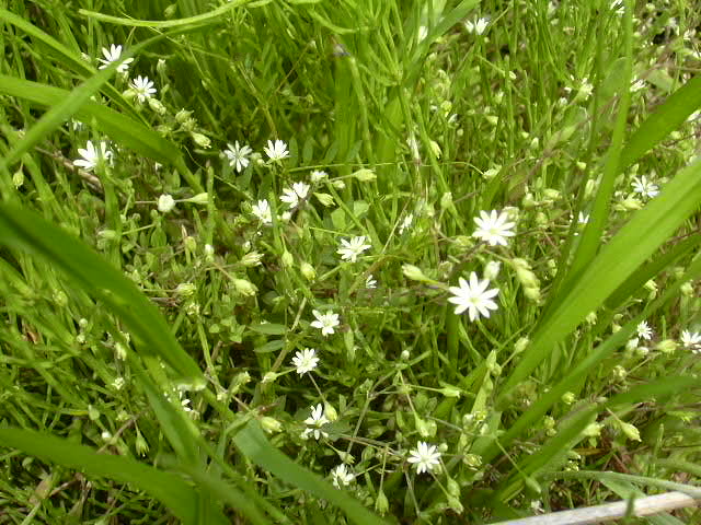 b0139862_052093.jpg