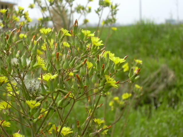 b0139862_0521874.jpg